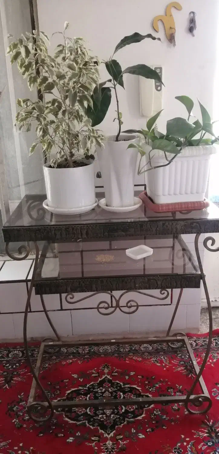 میز فرفوژه|میز تلویزیون|قم, خاکفرج|دیوار