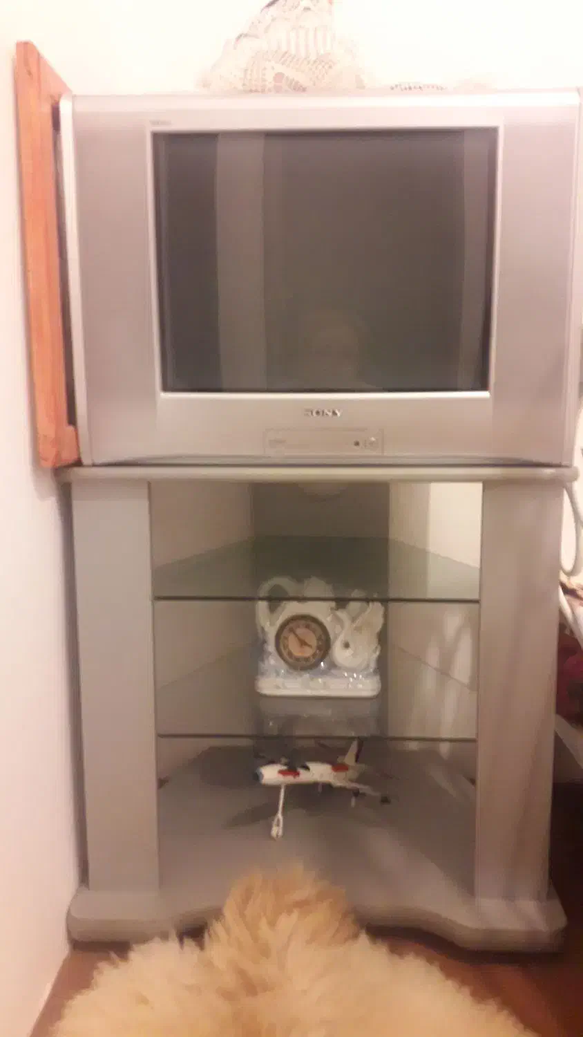 تلویزیون ۲۱ اینچ سونی با میز|تلویزیون و پروژکتور|اردبیل, |دیوار