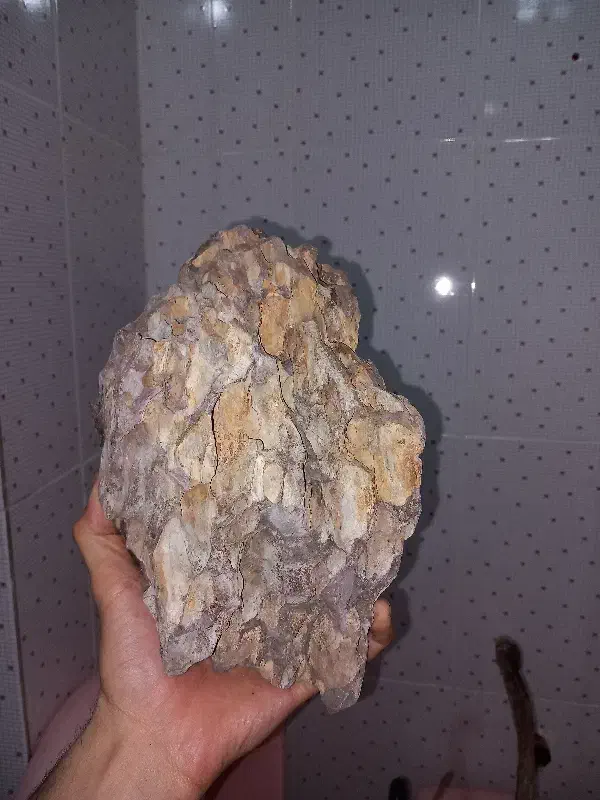 کمد دراور|جاکفشی، کمد، دراور|اردبیل, |دیوار