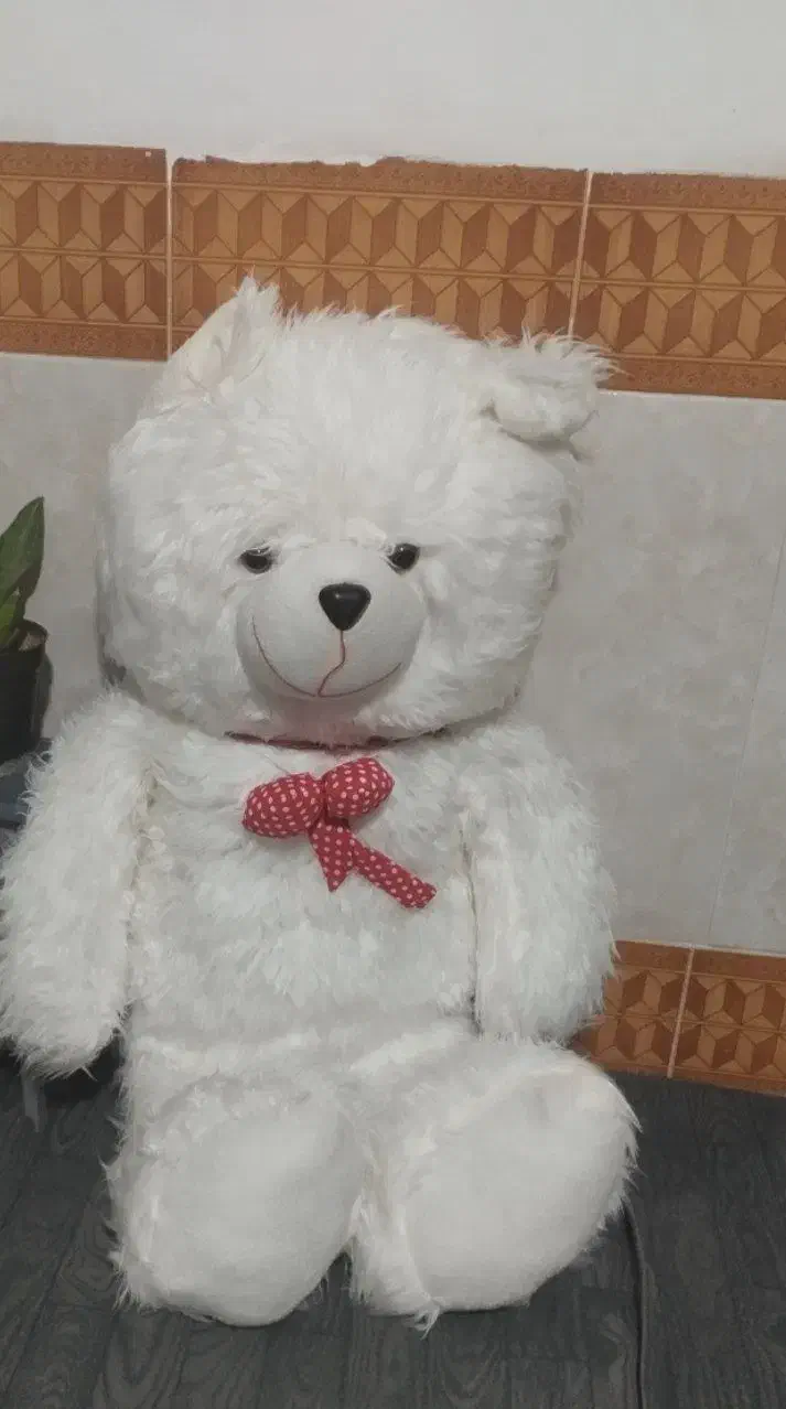 خـرس|اسباببازی بچه|نظرآباد, شهرک سید جمال الدین|دیوار