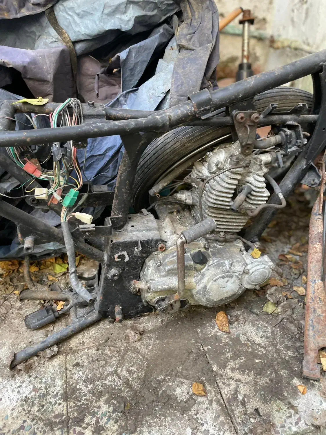 انجین و شاسی کاوازاکی شکاری چهار زمانه ۱۵۰|موتورسیکلت|رشت, پیرسرا|دیوار