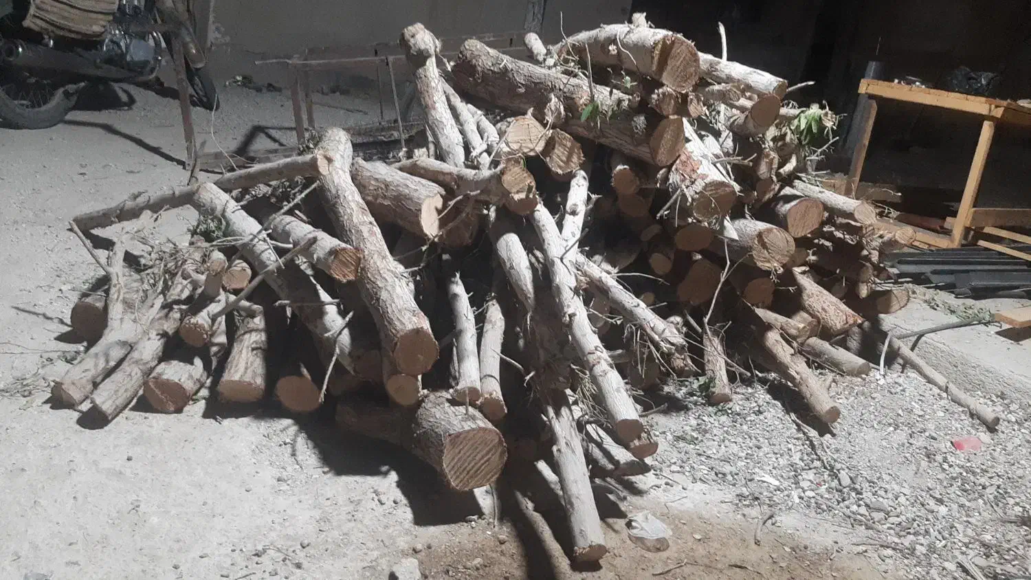 برش نخل و درخت رایگان سراسر استان بوشهر|خدمات باغبانی و درختکاری|اهرم, |دیوار