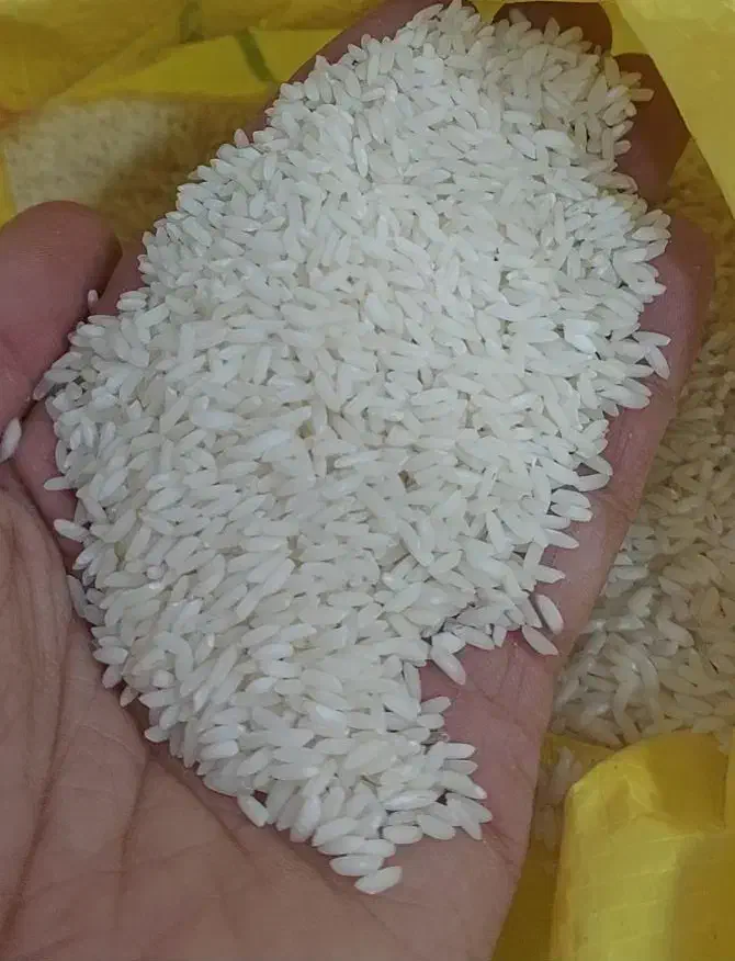 برنج عنبربو درجه یک|خوردنی و آشامیدنی|اهواز, پادادشهر|دیوار