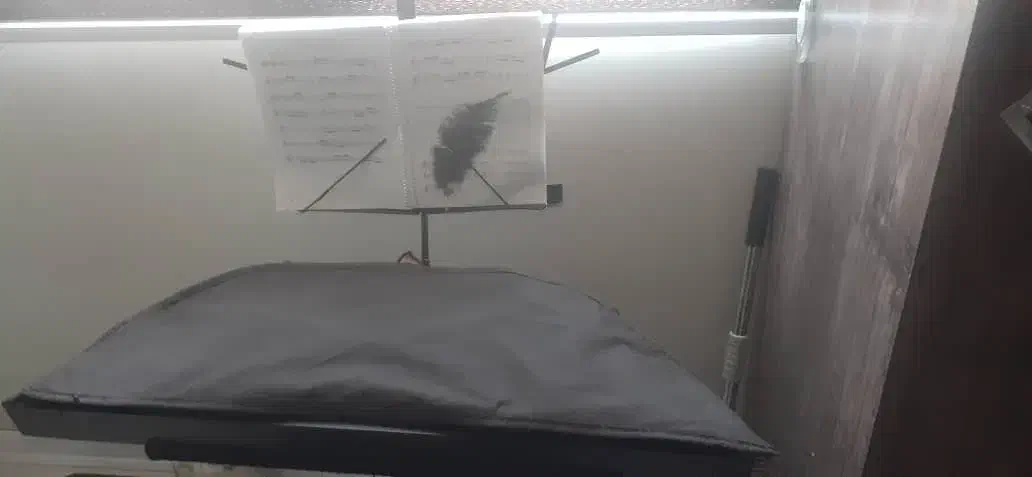 سنتور ۳ مهر|سازهای سنتی|کرج, باغستان|دیوار