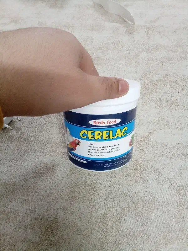 سرلاک پرنده|لوازم جانبی حیوانات|قم, شاه سید علی|دیوار