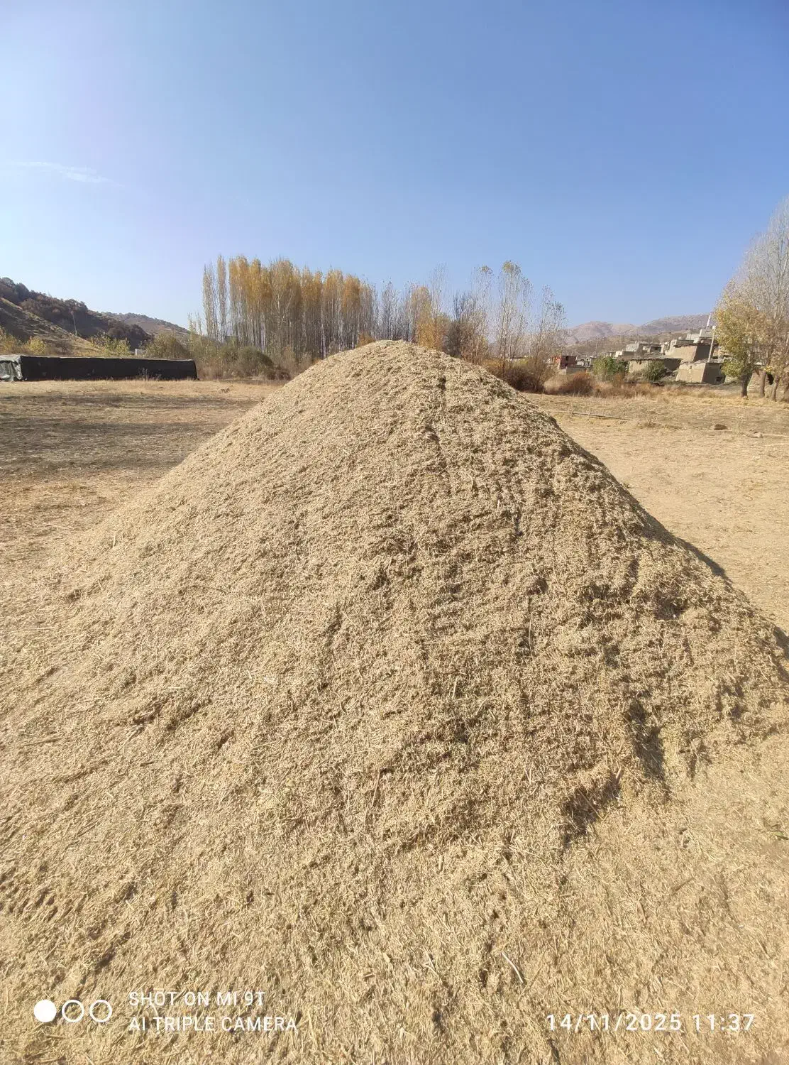 آلفسوزه|حیوانات مزرعه|مریوان, |دیوار