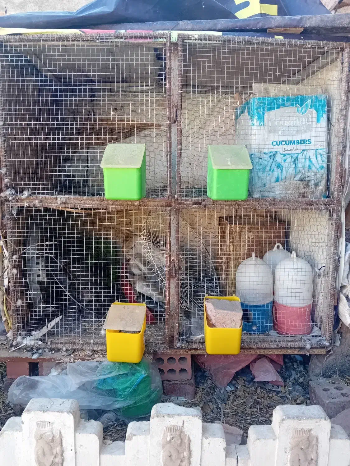 چفت توری جفتگاه|لوازم جانبی حیوانات|زرند, |دیوار