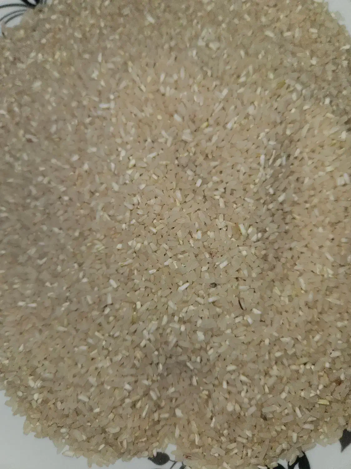 برنج نیم دانه فجر امسالی زیر قیمت|خوردنی و آشامیدنی|پاکدشت, پاکدشت (مامازند)|دیوار