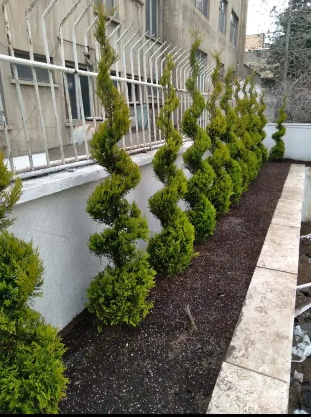 خدمات باغبانی گلکاری هرس کاری تعویض خاک گلدان|خدمات باغبانی و درختکاری|پردیس, فاز ۸|دیوار