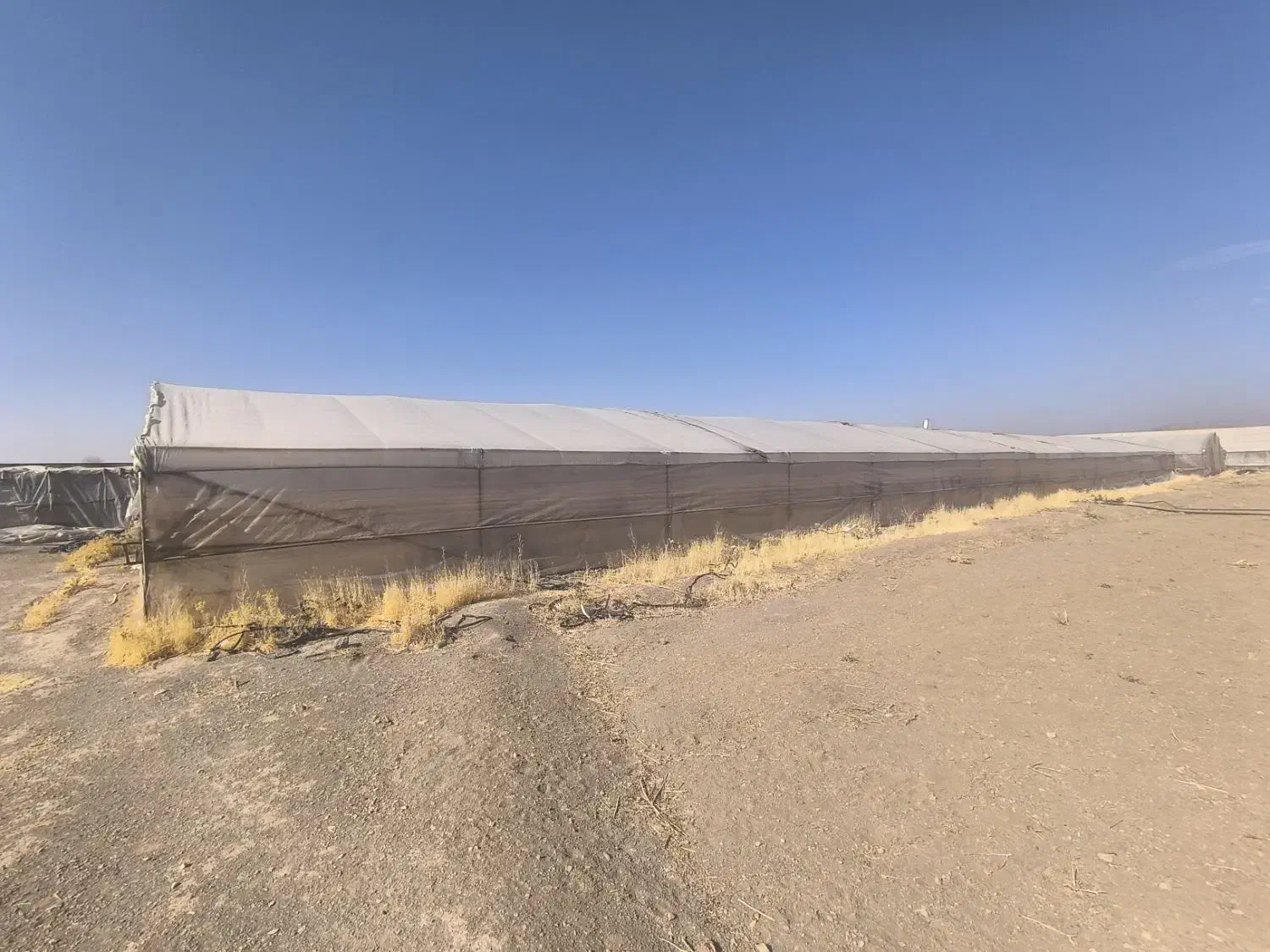 گلخانه|فروش دفتر صنعتی، کشاورزی، تجاری|خمین, |دیوار