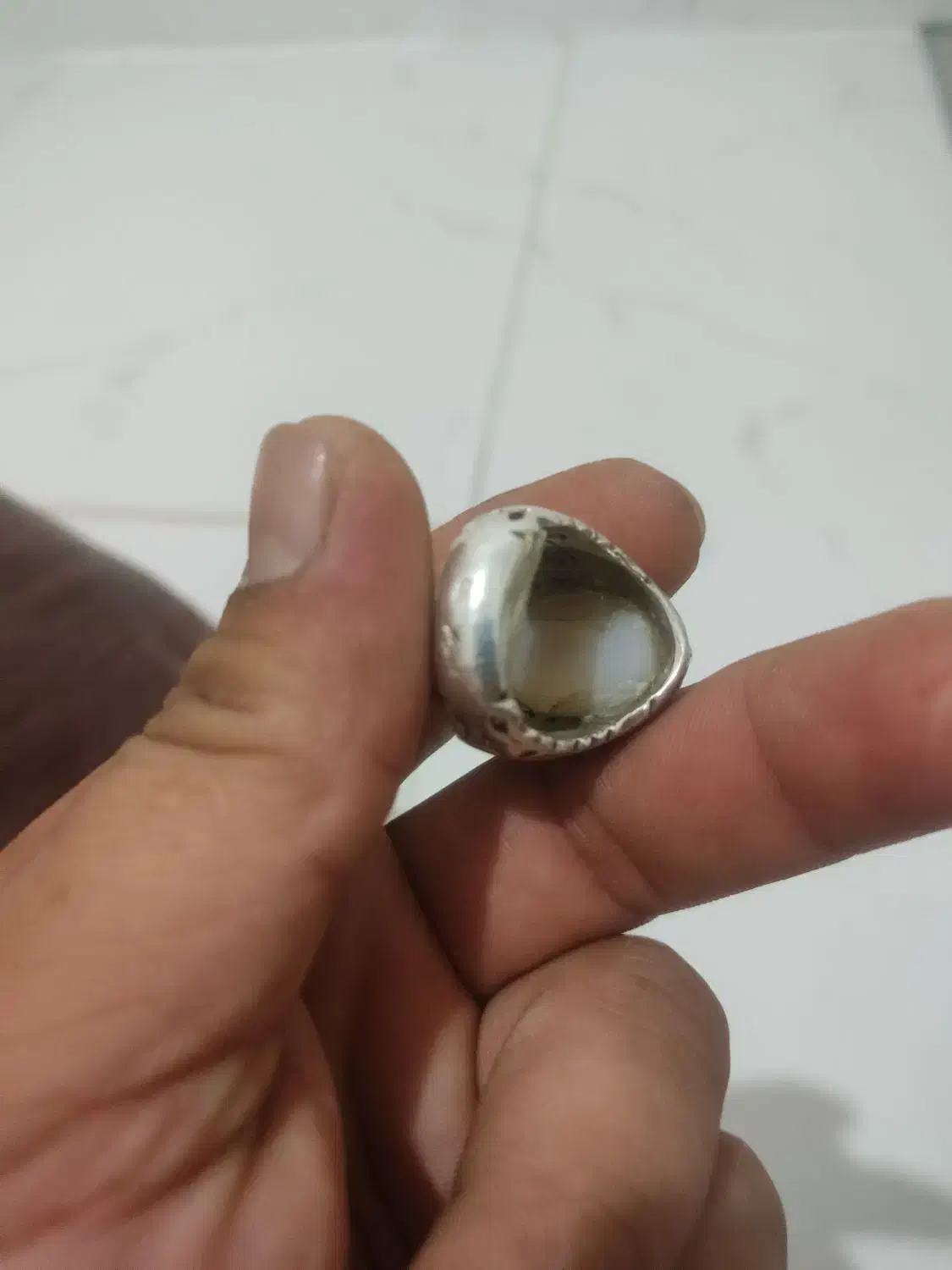 شجر|بدلیجات|مشهد, آزادشهر|دیوار