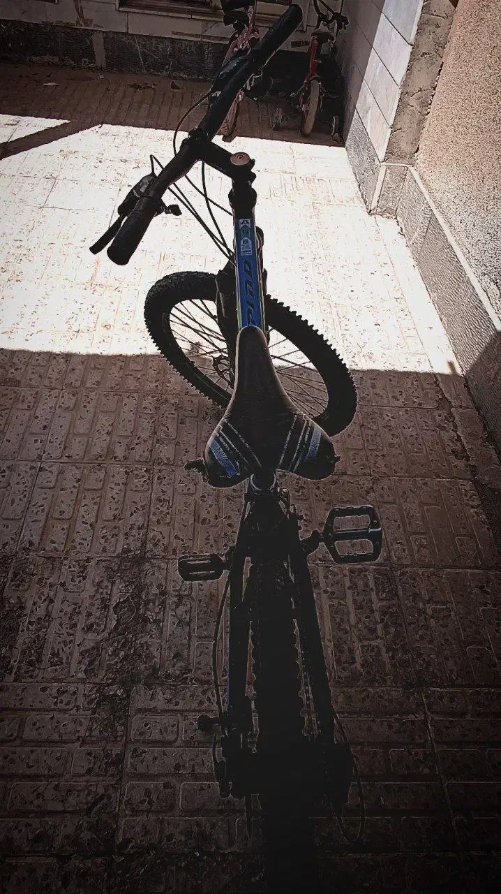 دوچرخه 24 مارک راپیدو|دوچرخه، اسکیت، اسکوتر|بیرجند, |دیوار