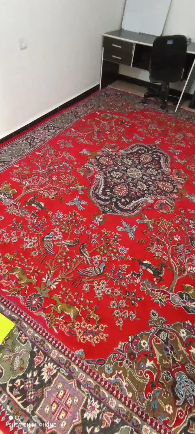 فرش 12متری|فرش|کوهدشت, |دیوار