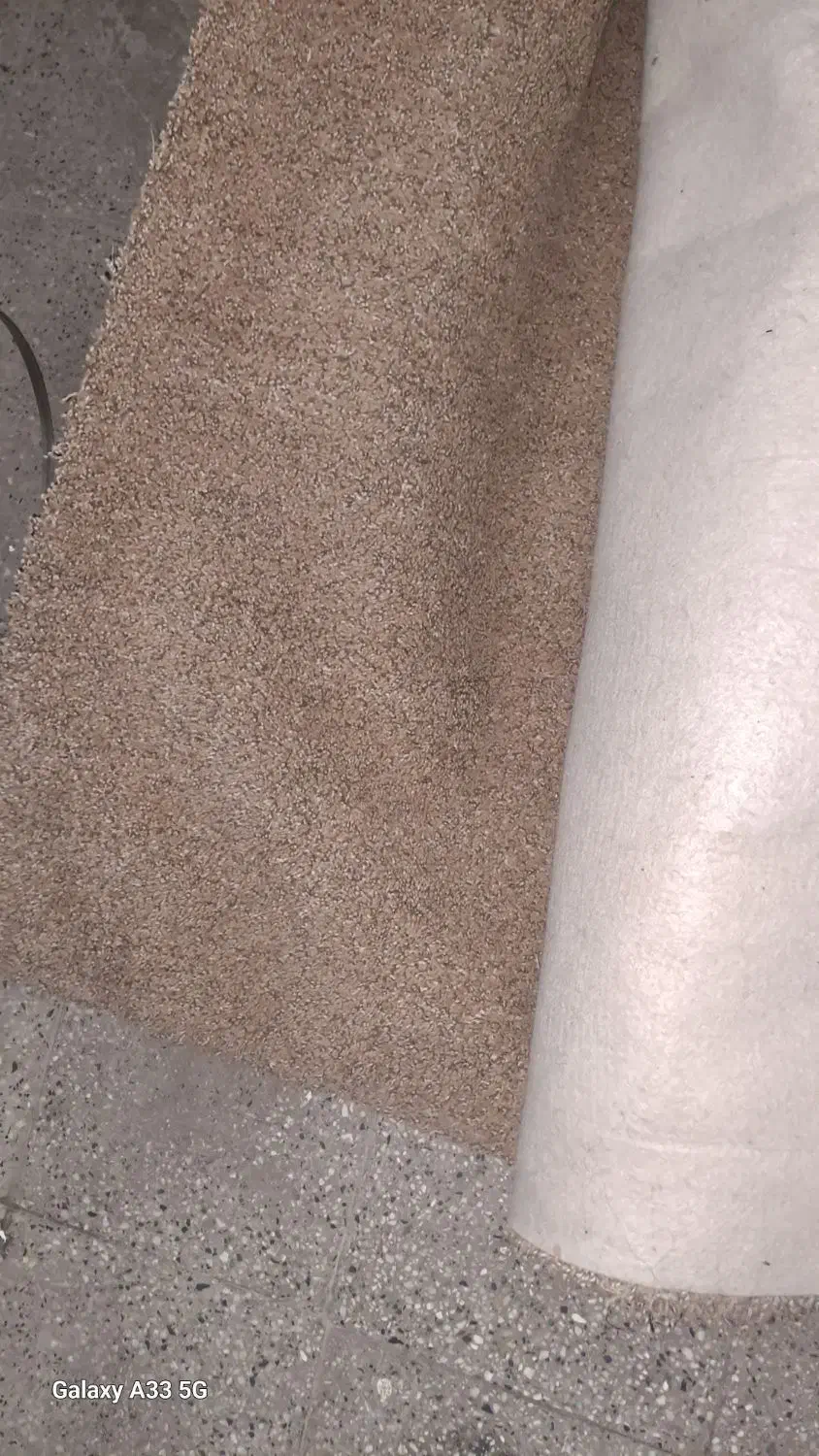 موکت پالاز ۹متری|موکت|بروجرد, |دیوار