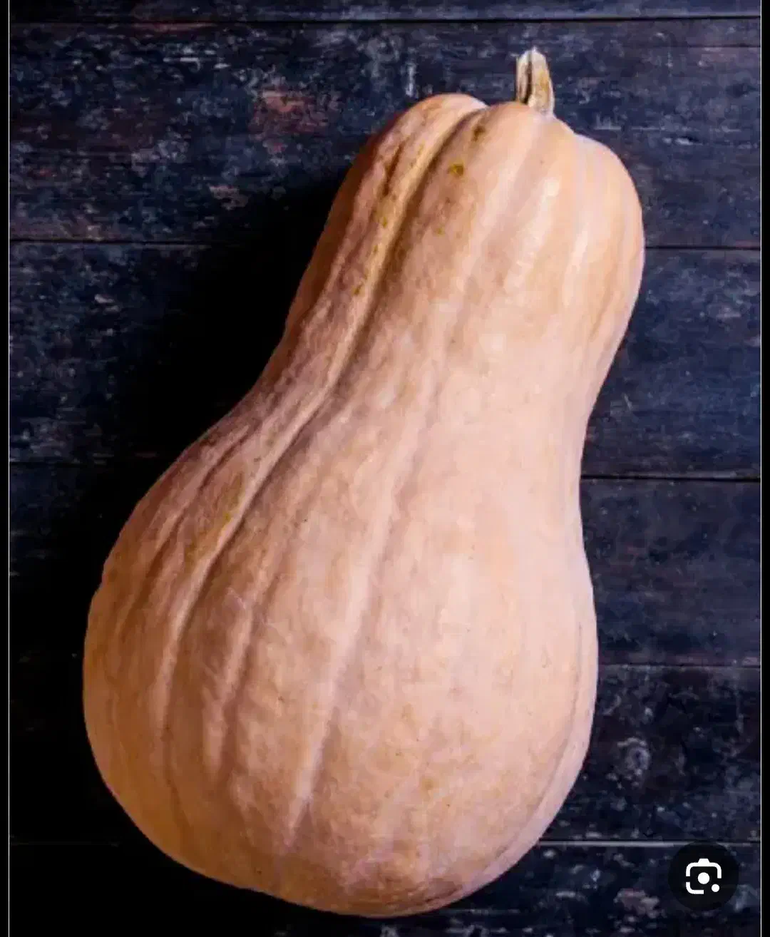 کدو|خوردنی و آشامیدنی|آشخانه, |دیوار