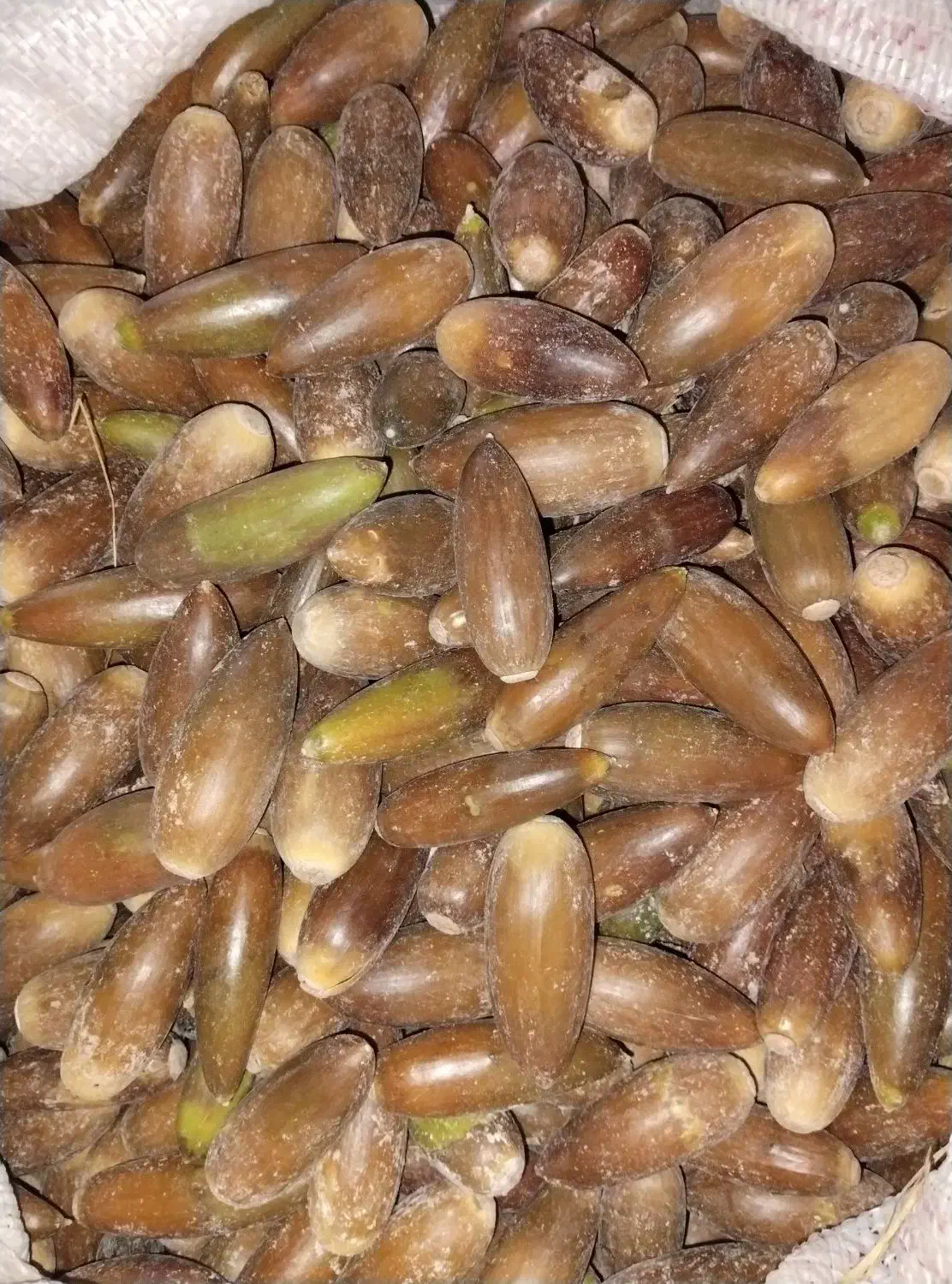 بالوط|خوردنی و آشامیدنی|کوهمره, |دیوار