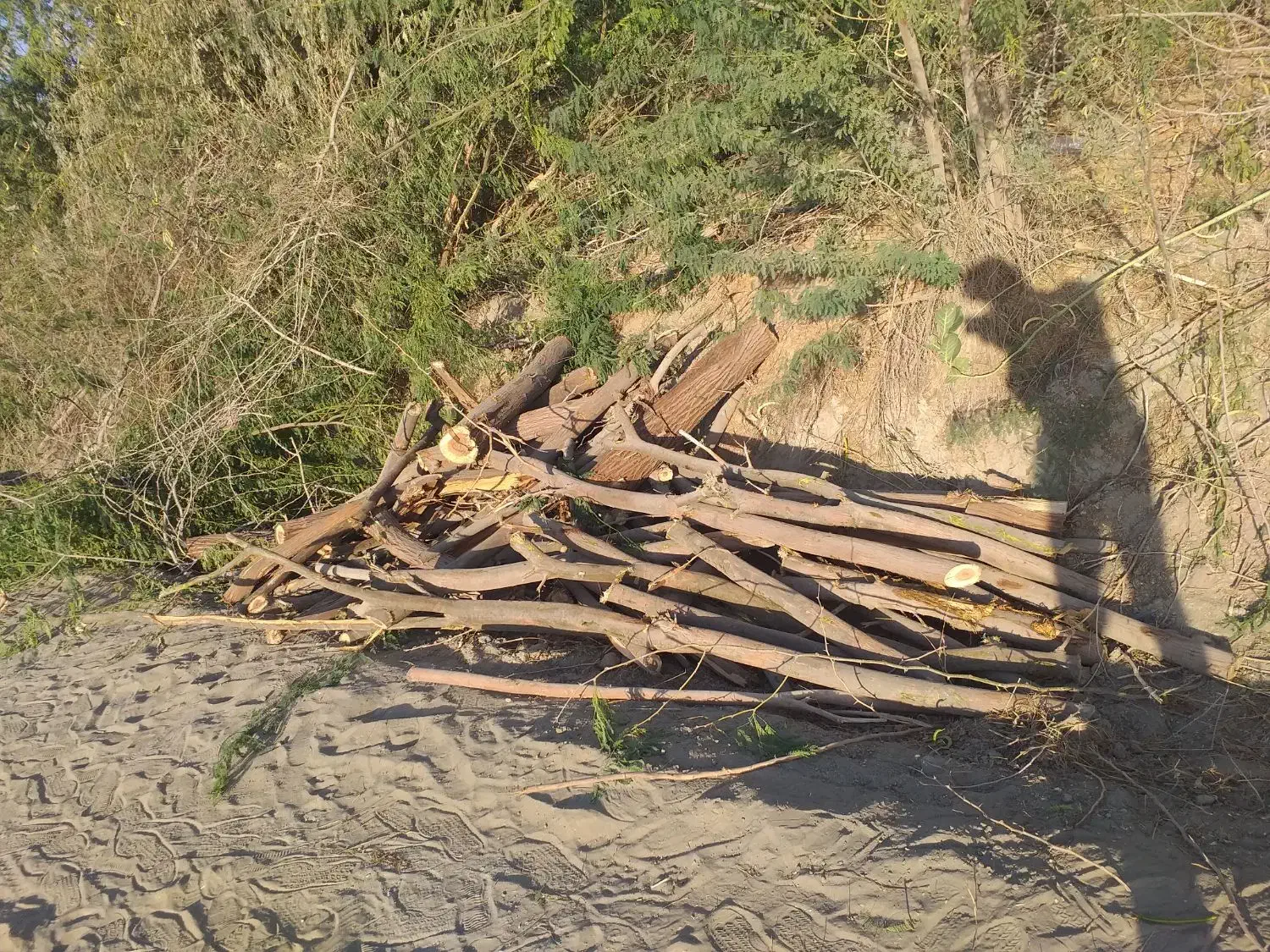 کارگر چوب بر نیازمندم|استخدام صنعتی، فنی، مهندسی|جاسک, |دیوار