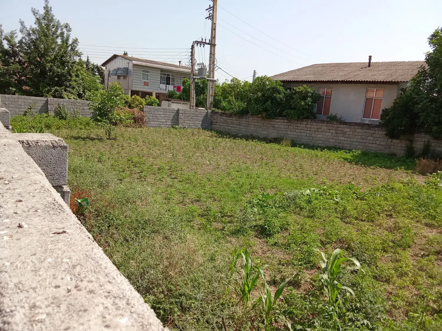 فروش زمین مسکونی|فروش زمین و ملک کلنگی|ارطه, |دیوار