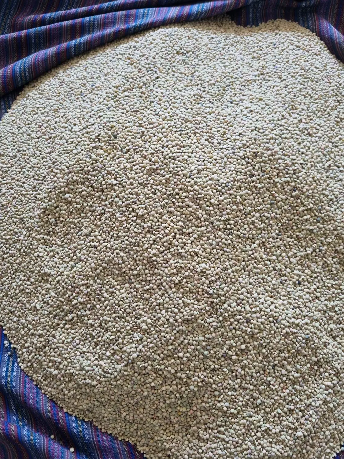 عدس|خوردنی و آشامیدنی|تهران, طرشت|دیوار