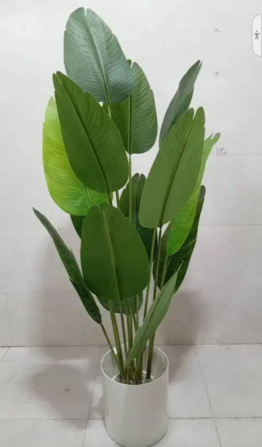 درختچه مصنوعی|گل مصنوعی|بندر کنگان, |دیوار