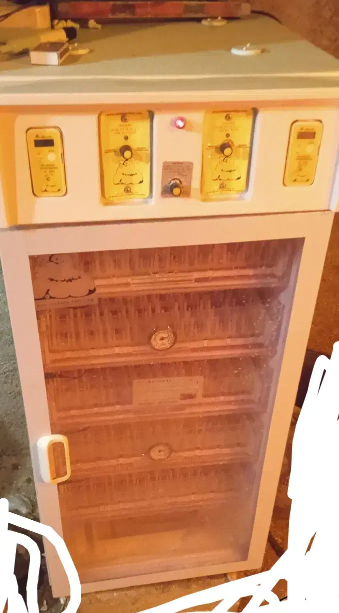 دستگاه جوجه کشی اتوماتیک ۲۵۰|لوازم جانبی حیوانات|گندمان, |دیوار