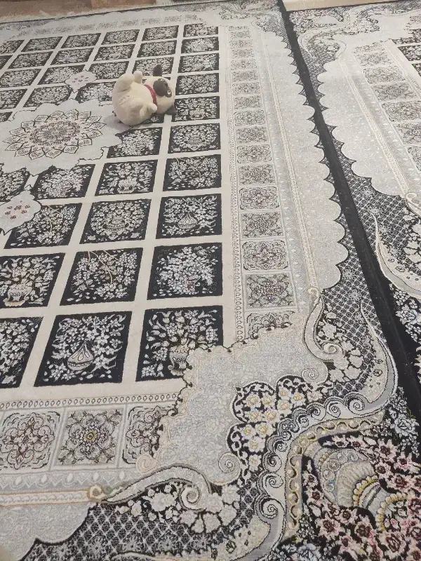 فرش|فرش|تالش, جوکندان|دیوار