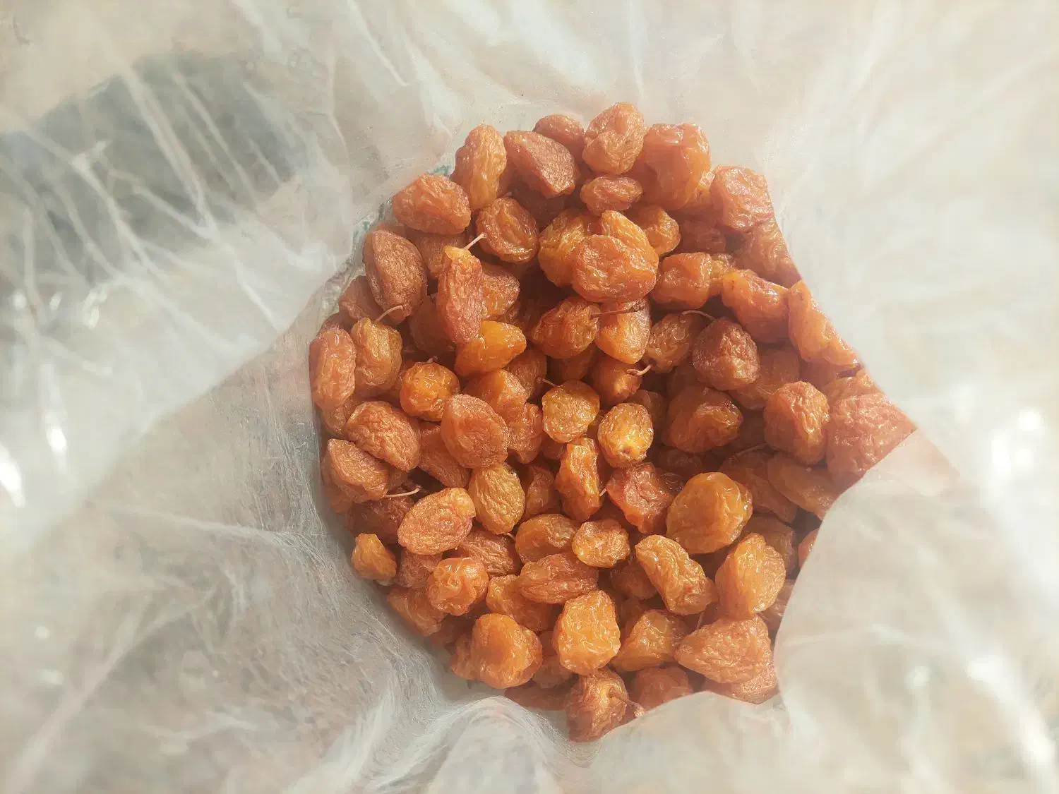 فروش زمین کشاورزی|اجارهٔ دفتر صنعتی، کشاورزی، تجاری|خرم بید, |دیوار