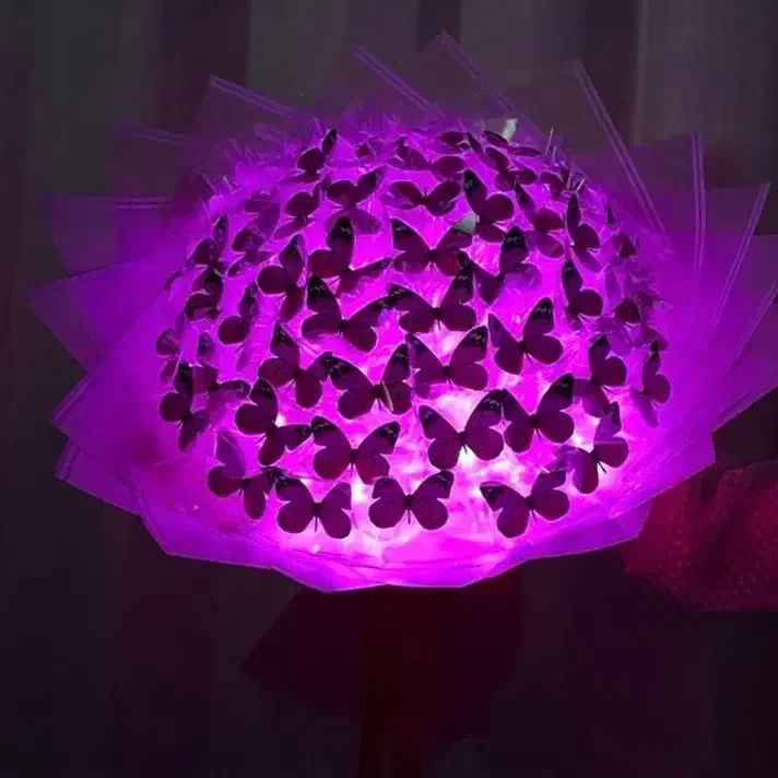 پروانه نور|ریسه و چراغ تزئینی|اسفراین, |دیوار