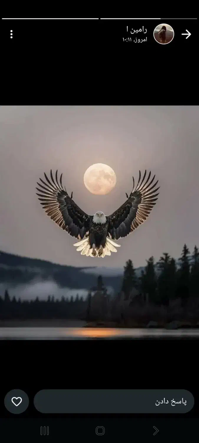 زمین|فروش زمین و ملک کلنگی|لوداب, |دیوار