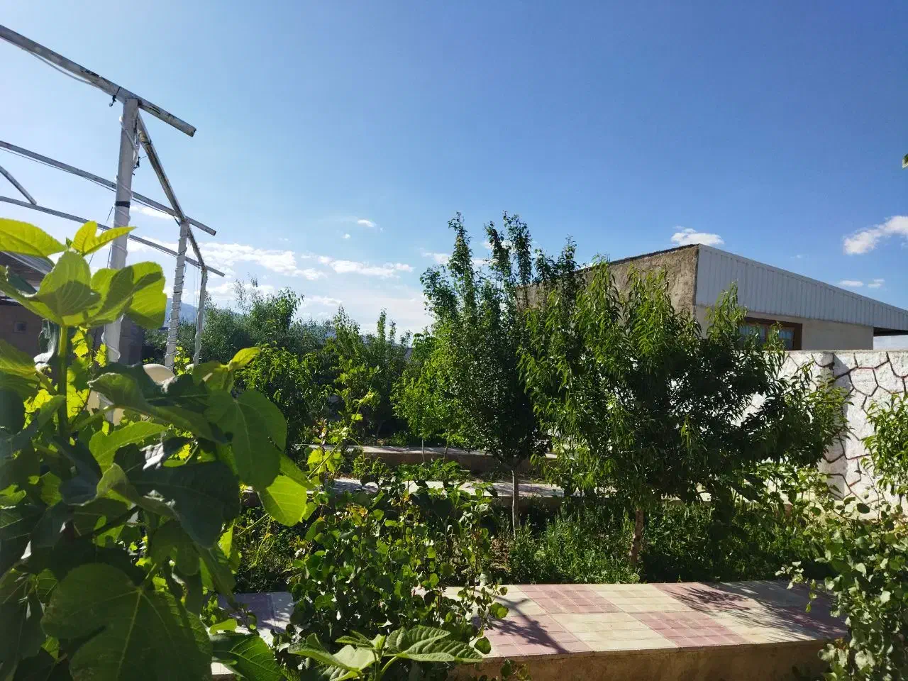 باغ ویلای شیک فروش و معاوضه با آپارتمان و خودرو|فروش خانه و ویلا|صوفیان, |دیوار