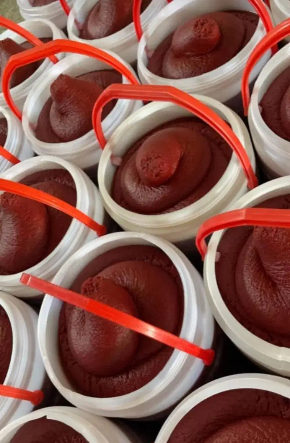 رب گوجه فرنگی خانگی عمده|عمده‌فروشی|تهران, تهرانسر مرکزی|دیوار