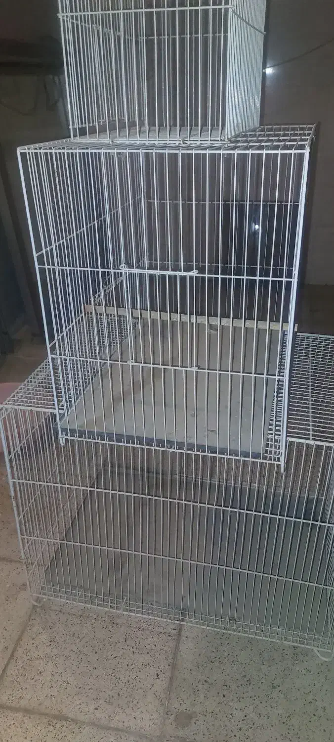 قفس پرنده|لوازم جانبی حیوانات|مشهد, رده|دیوار