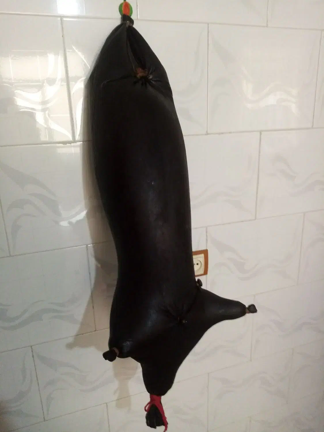 هیزه|ظروف نگهدارنده، پلاستیکی، یکبارمصرف|کرمانشاه, |دیوار