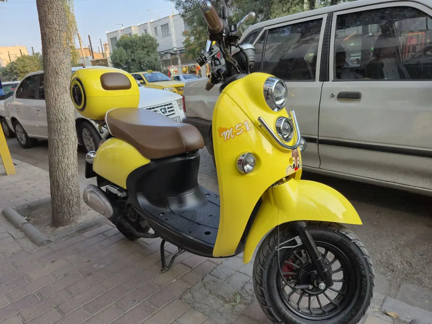 فروش موتور کویر ms1 50 مدل ۱۴۰۳|موتورسیکلت|اردبیل, |دیوار