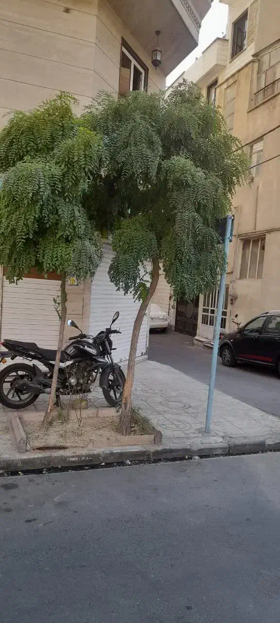 اجاره مغازه|اجارهٔ مغازه و غرفه|تهران, کرمان|دیوار