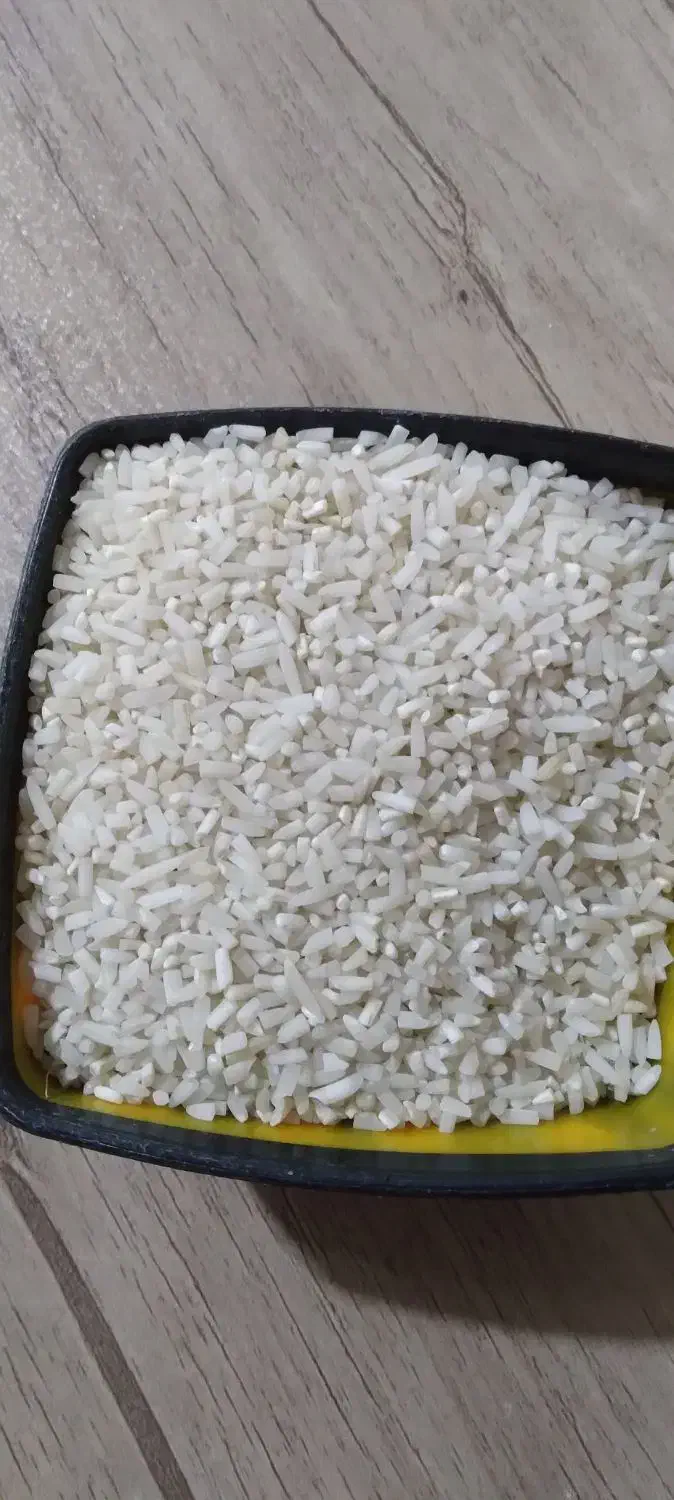 برنج نیم دانه|خوردنی و آشامیدنی|رشت, بیجارپس|دیوار