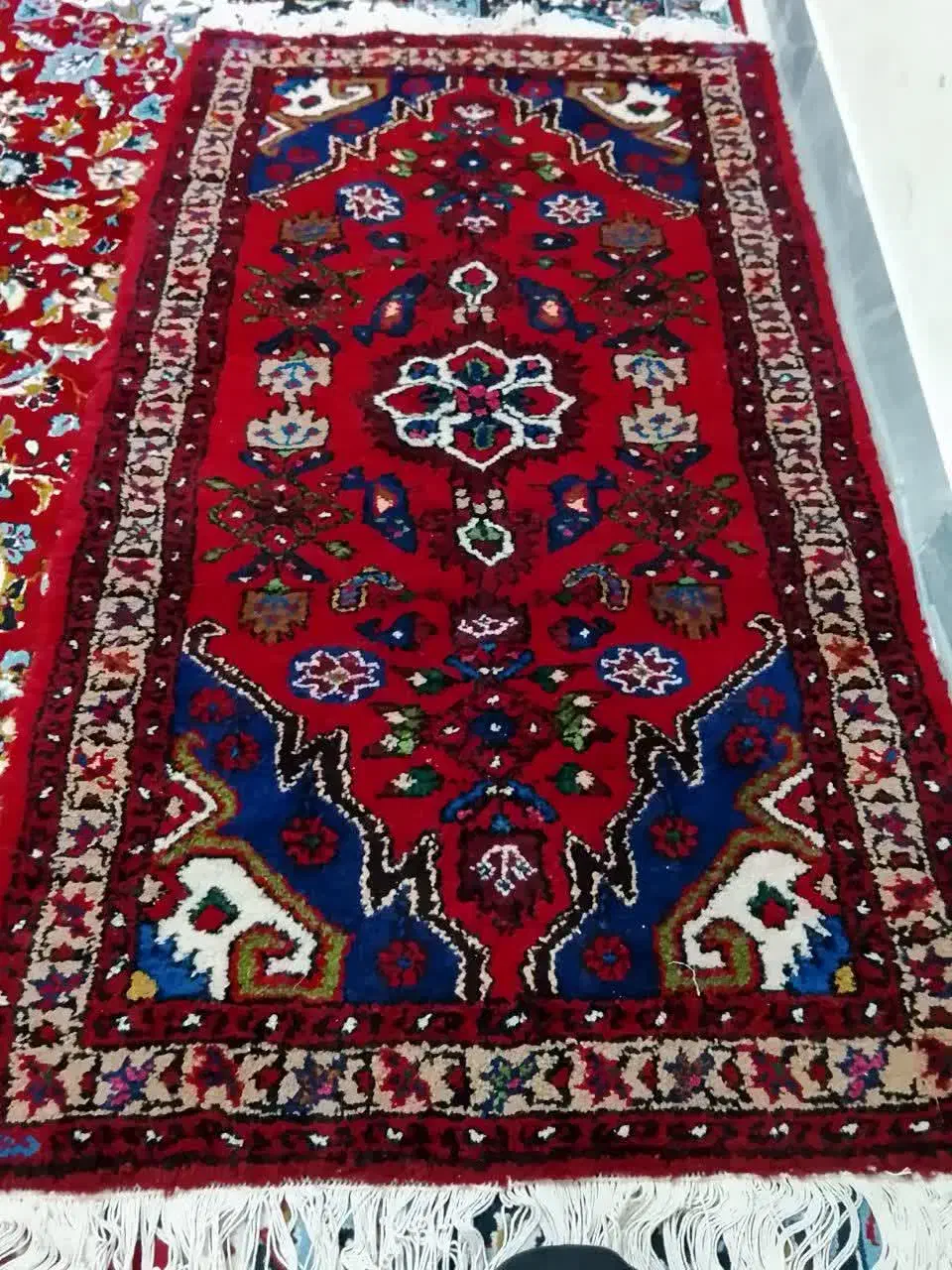 فرش،دست،بافت|فرش|قم, میرزائیه|دیوار