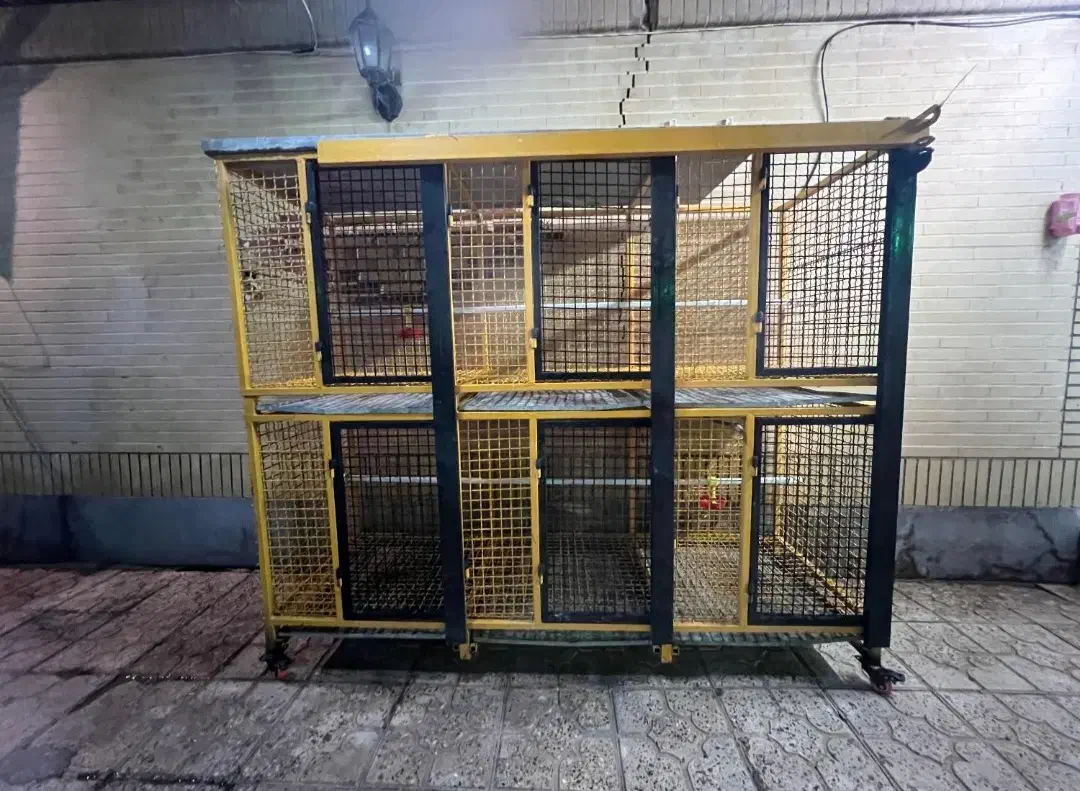 قفس فلزی کبوتر جفت کن سفارشی ساز|لوازم جانبی حیوانات|اژیه, |دیوار