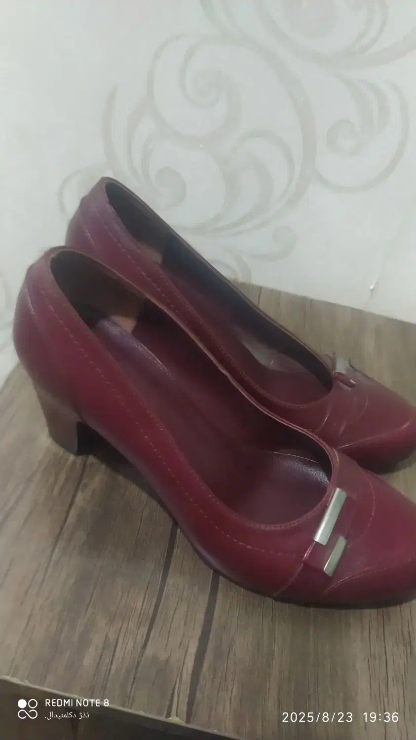 فروش کفش|کیف، کفش، کمربند|الشتر, |دیوار