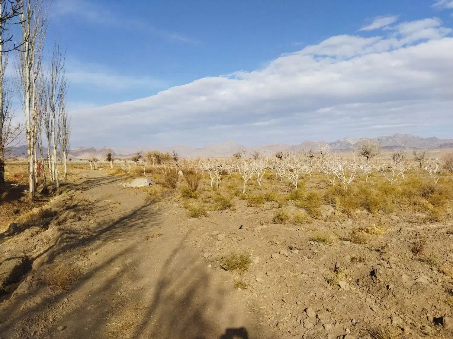 زمین در منطقه بهارستان صنوبر|فروش زمین و ملک کلنگی|تربتحیدریه, بالا ولایت|دیوار