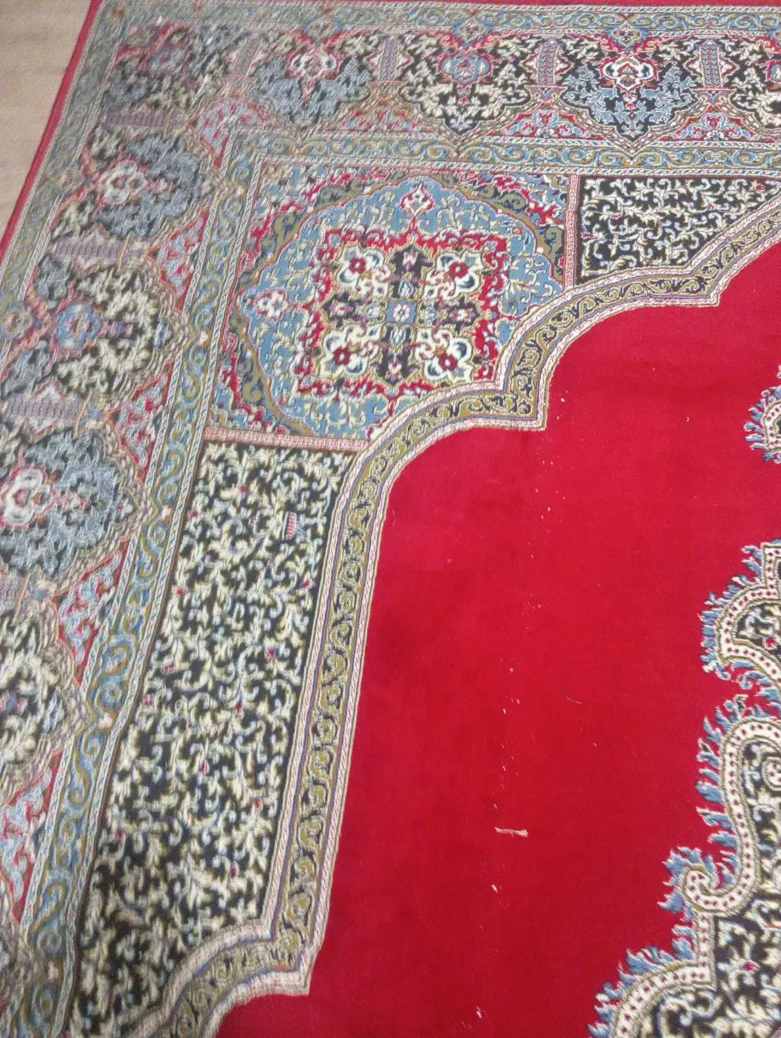 فروش فرش 12متری|فرش|مرودشت, سهلآباد|دیوار