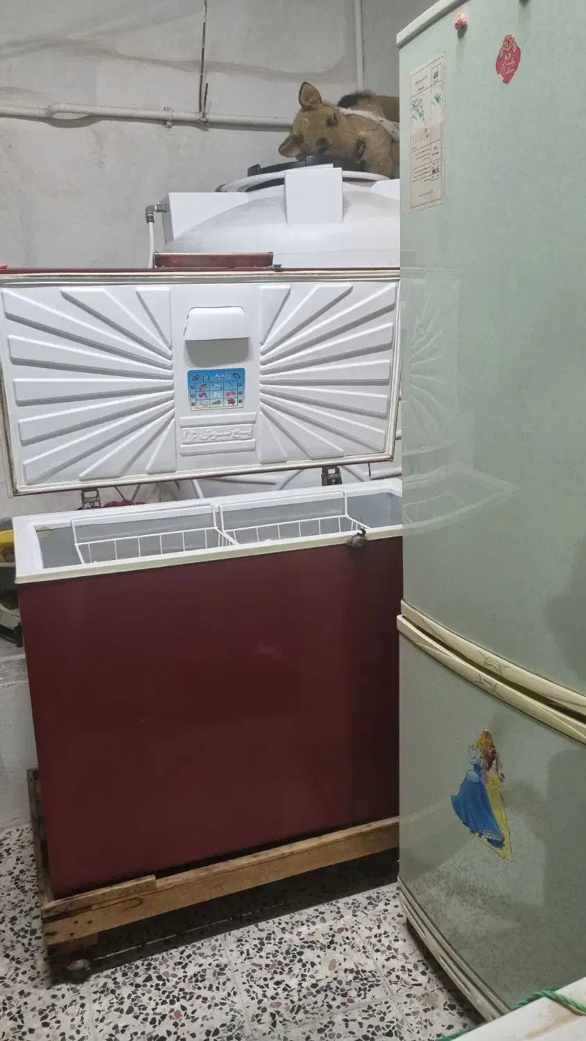 فریزر صندوقی|یخچال و فریزر|چغادک, |دیوار