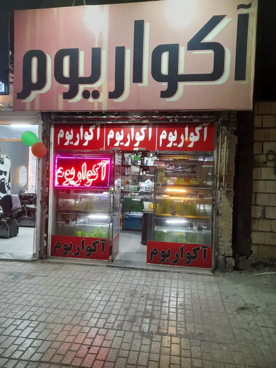 واگذاری وفروش لوازم اکواریم صفرتاصد کامل یکجا|ماهی|مشهد, شهرک رازی (شهرک غرب)|دیوار