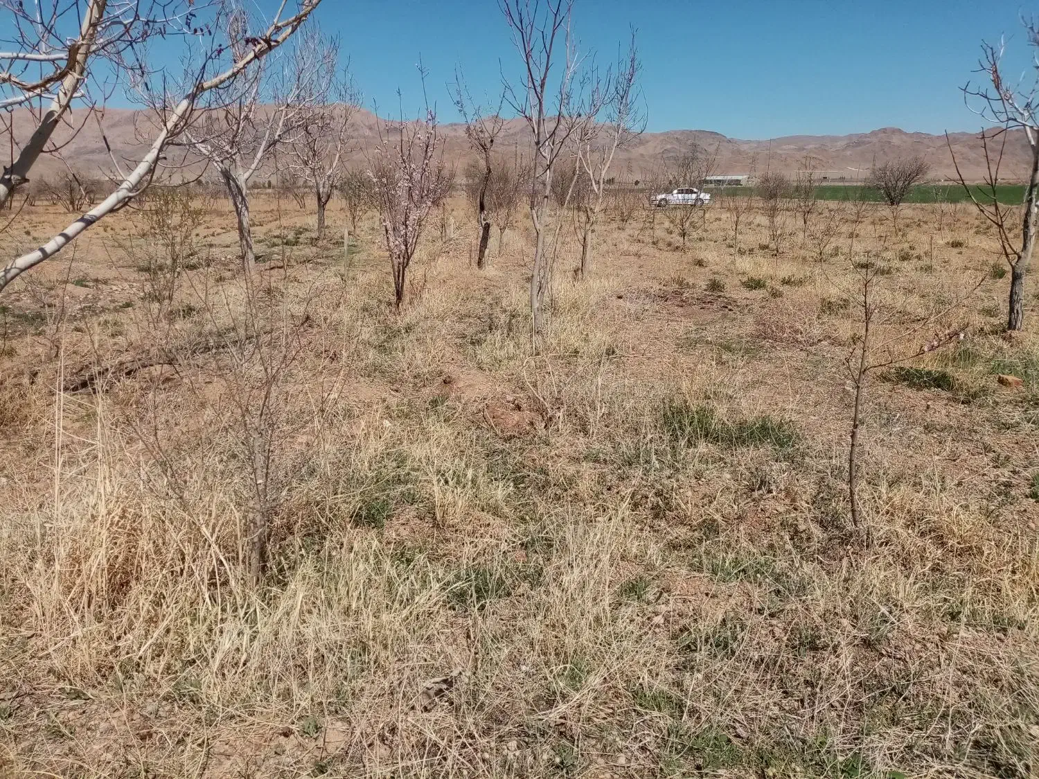 دربستی|خدمات حمل و نقل|اقلید, |دیوار