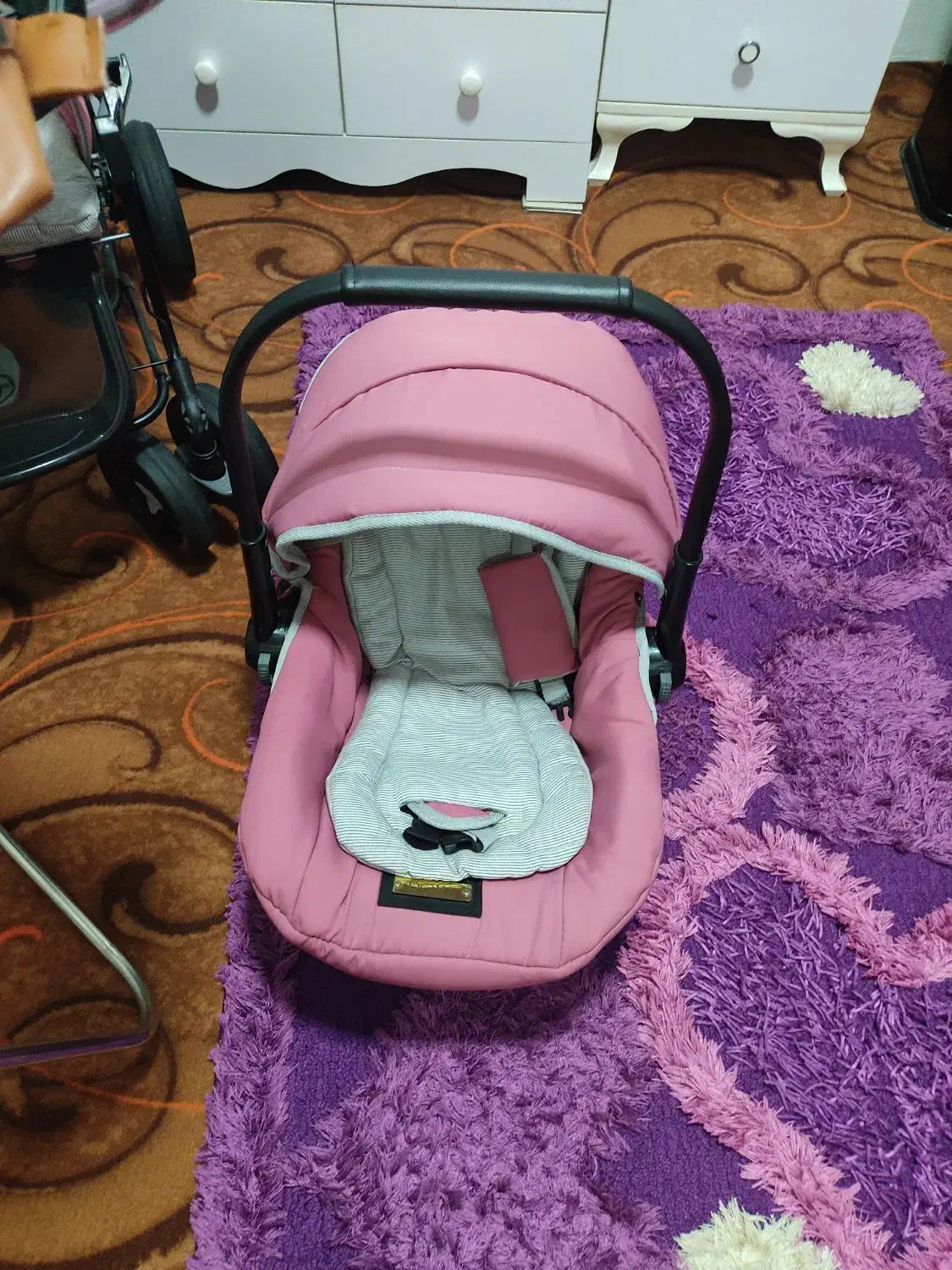 کریر و کالسکه دلیجان|کالسکه و لوازم جانبی|بندر انزلی, لیچارگی حسن رود|دیوار