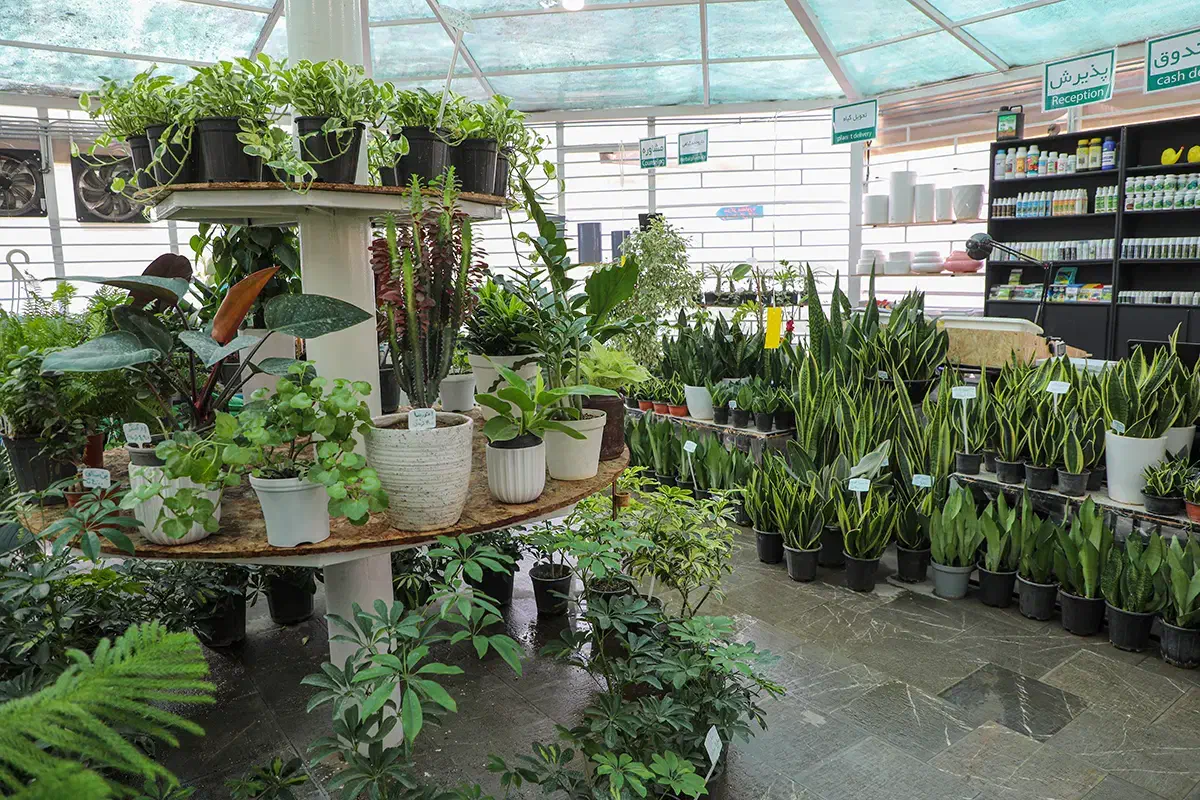 جذب نیرو در کافی‌شاپ و گلخانه|استخدام خدمات فروشگاه و رستوران|مشهد, حجاب (شهرک غرب)|دیوار