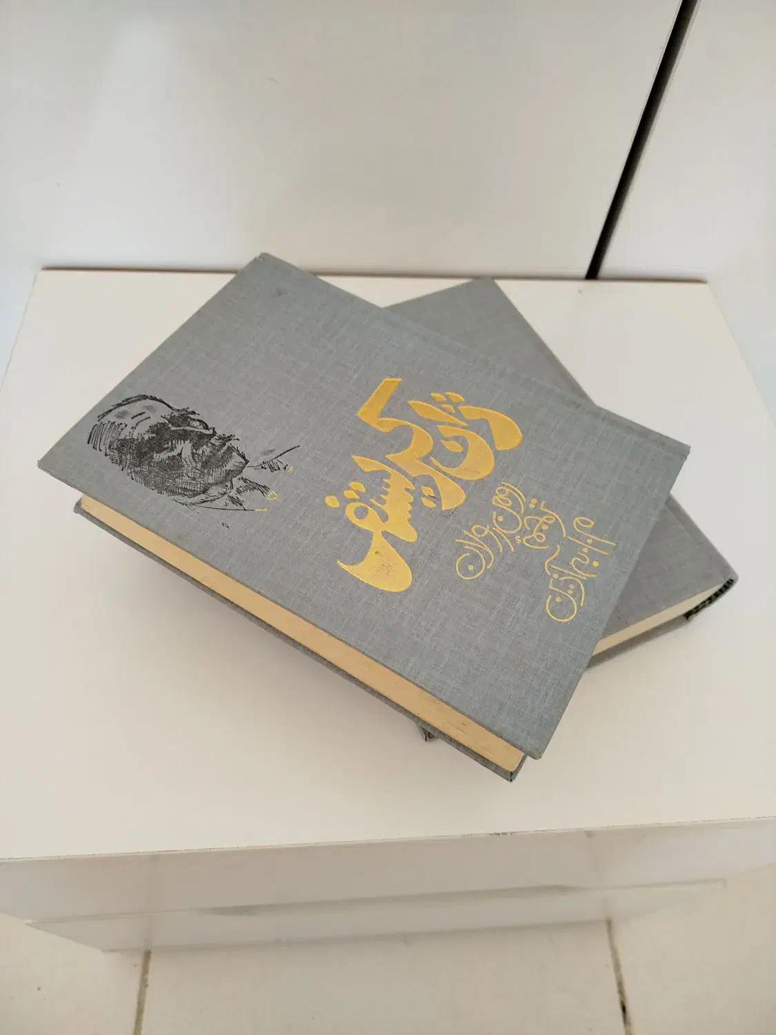 رمان ژان کریستف|کتاب و مجله ادبی|پرند, فاز ۶|دیوار