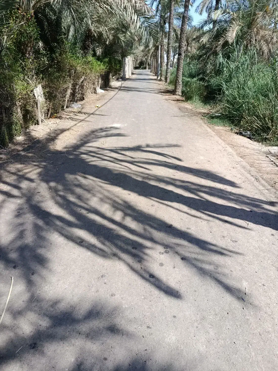 فروش منزل ویلایی|فروش خانه و ویلا|آبادان, |دیوار