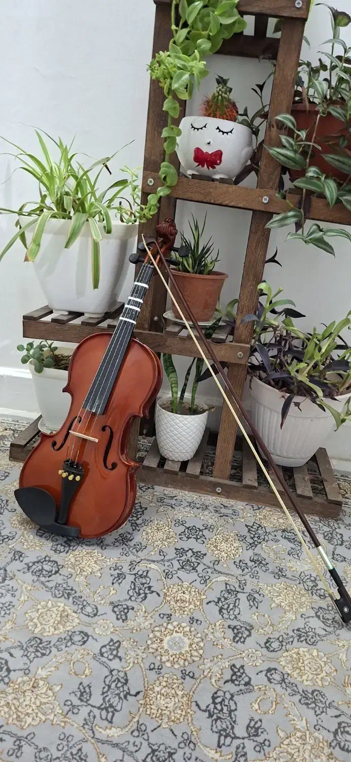 ویولن رناتو۲۲۰|ویولن|تهران, شمشیری|دیوار