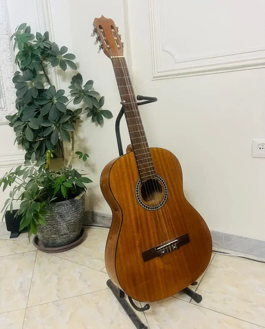 گیتار سانچز خوش صدا|گیتار، بیس، امپلیفایر|تهران, جنتآباد شمالی|دیوار